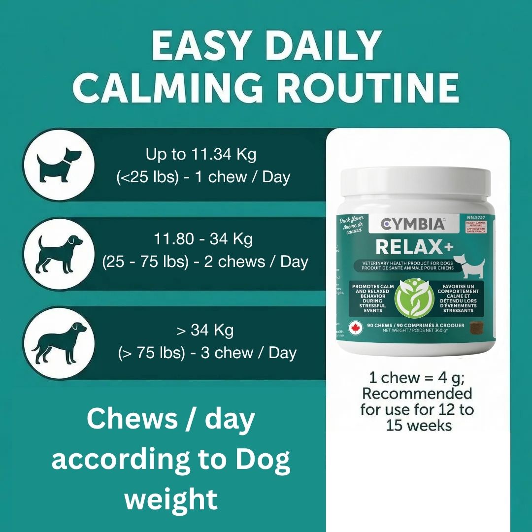 Relax+ Supplément en Friandises Relaxantes pour Chiens - Stress et Anxiété
