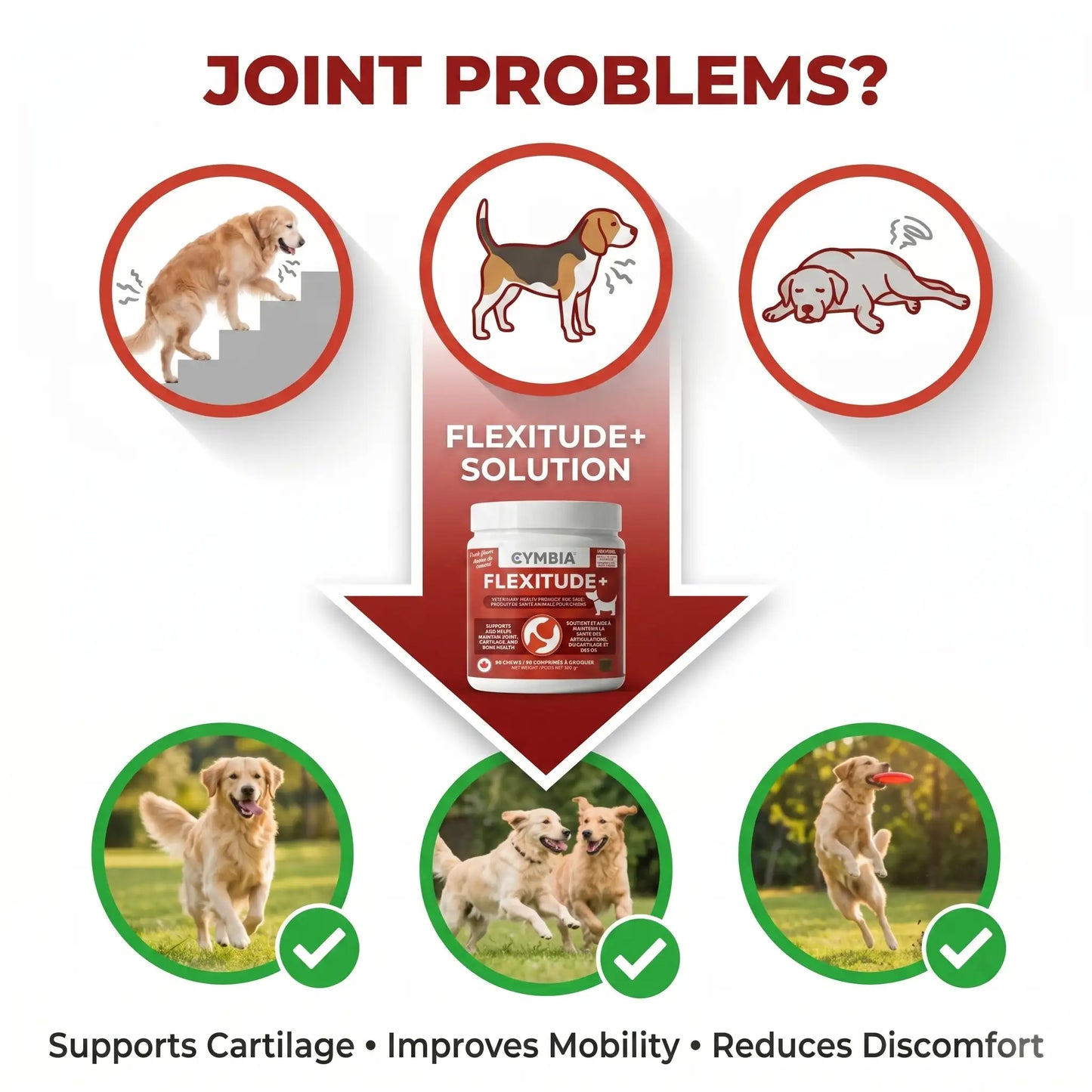 Cymbia Flexitude+ Hip & Joint Support Chews for Dogs - Duck Flavor