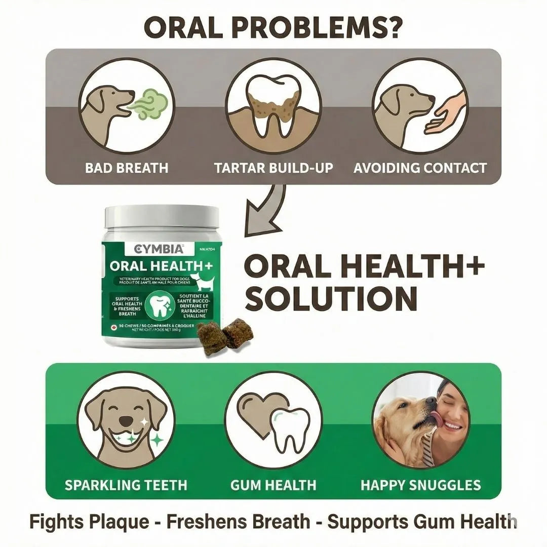 Oral Health+ Dental Chews for Dogs - All Natural Oral Care (90 chews)