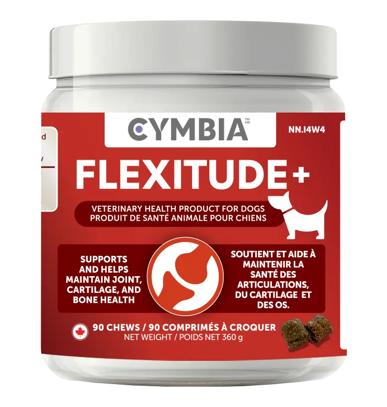 flexitude dogs joint supplement