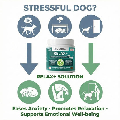 Relax+ Supplément en Friandises Relaxantes pour Chiens - Stress et Anxiété