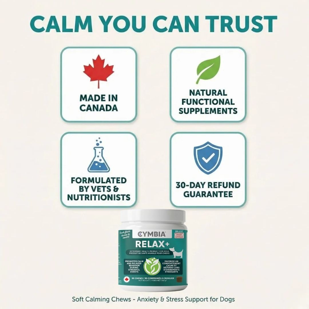 Relax+ Supplément en Friandises Relaxantes pour Chiens - Stress et Anxiété