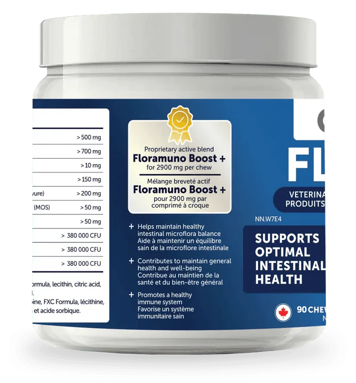 Flora+ Digestive Health Dog Treats | Gut Support Chews (90 chews)