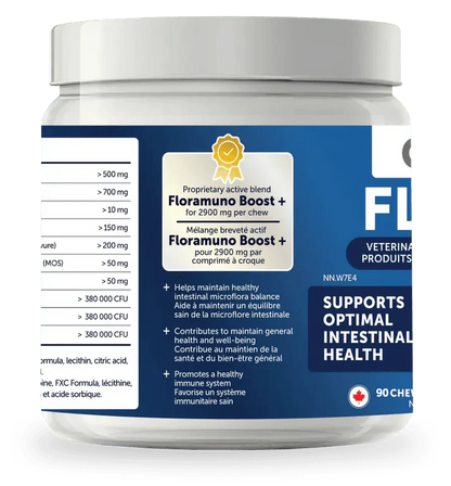Flora+ Digestive Health Dog Treats | Gut Support Chews (90 chews)