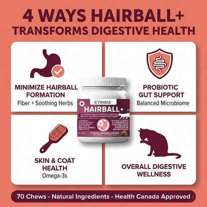 4 ways Hairball+ transforms digestive health - minimize hairball formation probiotic gut support and coat health