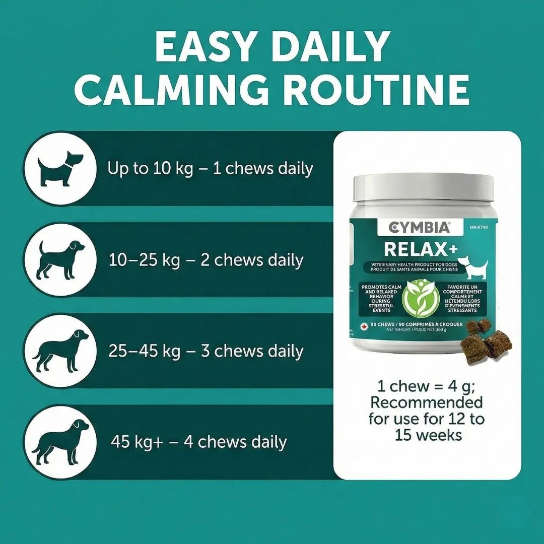 Stressful dog behaviors - anxiety pacing hiding separation anxiety - Relax+ solution eases anxiety promotes relaxation
