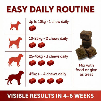Flexitude+ Supplément en Friandises pour Articulations et Mobilité - Chiens