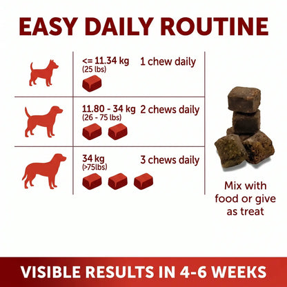Cymbia Flexitude+ Hip & Joint Support Chews for Dogs - Duck Flavor