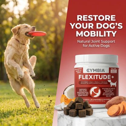 Cymbia Flexitude+ Hip & Joint Support Chews for Dogs - Duck Flavor