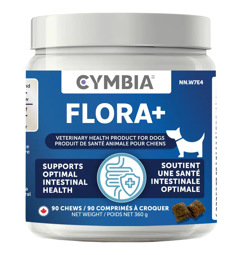Flora+ Digestive Health Dog Treats | Gut Support Chews (90 chews)