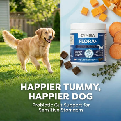Flora+ Supplément en Friandises Digestives pour Chiens - Santé Intestinale