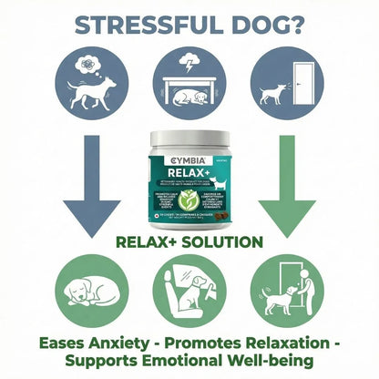 From stress to serenity - natural calming support for dogs during stressful events with passionflower chamomile blend