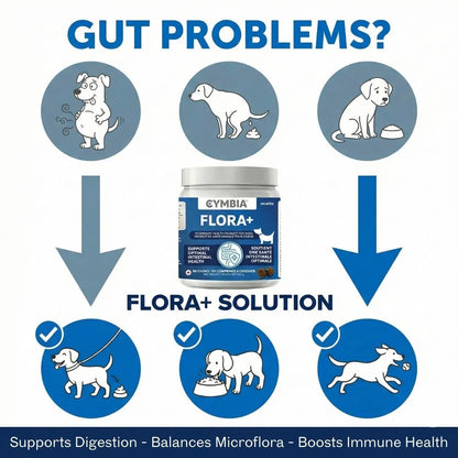 Flora+ Supplément en Friandises Digestives pour Chiens - Santé Intestinale