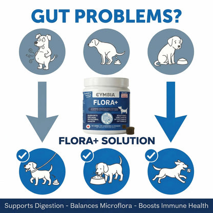 Flora+ Supplément en Friandises Digestives pour Chiens - Santé Intestinale