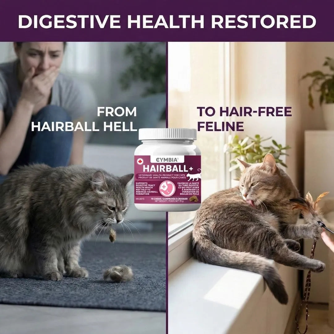Hairball+ Cat Hairball Supplement - Digestive Support (70 chews)