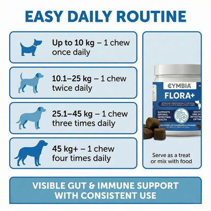 Flora+ Supplément en Friandises Digestives pour Chiens - Santé Intestinale