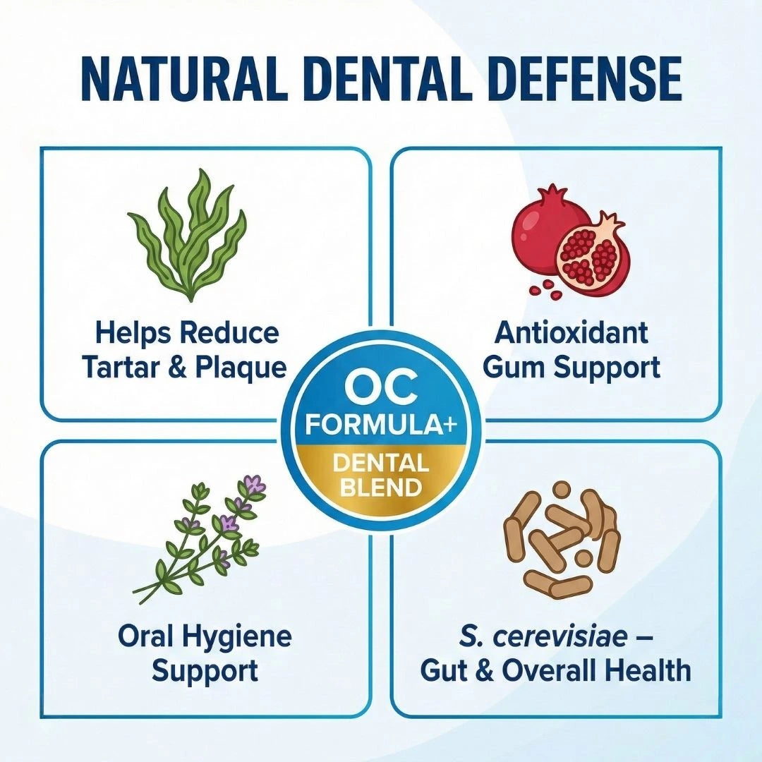 Oral Care+ Supplément en Friandises Dentaires pour Chats