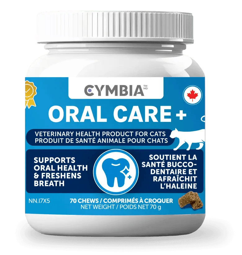 Oral Care Dental Treats for Cats