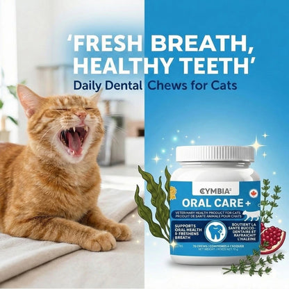 Oral Care+ Supplément en Friandises Dentaires pour Chats