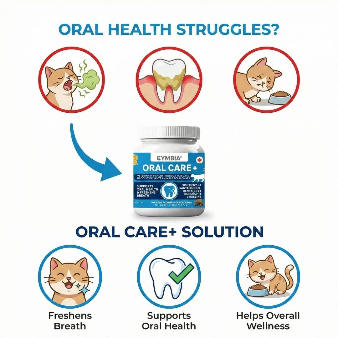 Oral Care+ Supplément en Friandises Dentaires pour Chats