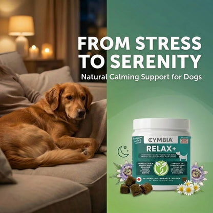 Relax+ Supplément en Friandises Relaxantes pour Chiens - Stress et Anxiété