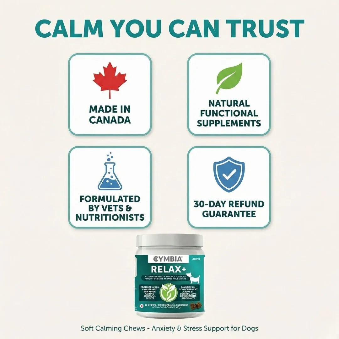 Calm you can trust dog supplement - made in Canada natural functional supplements formulated by vets nutritionists
