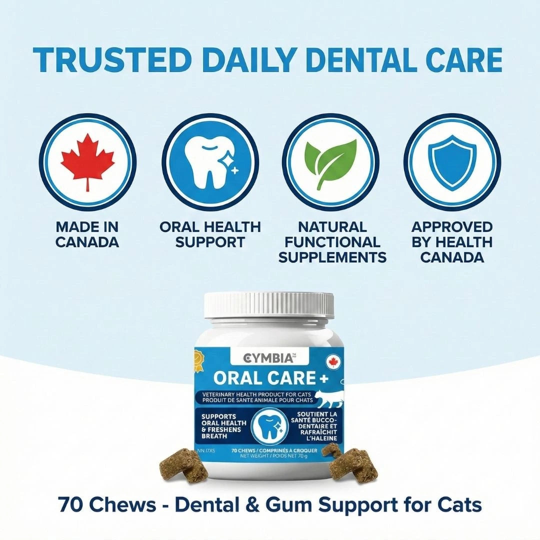 Oral Care+ Supplément en Friandises Dentaires pour Chats