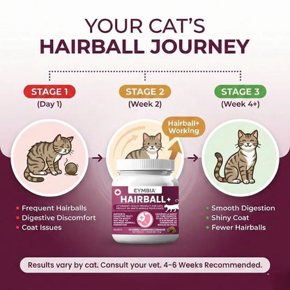 Hairball+ Cat Hairball Supplement - Digestive Support (70 chews)