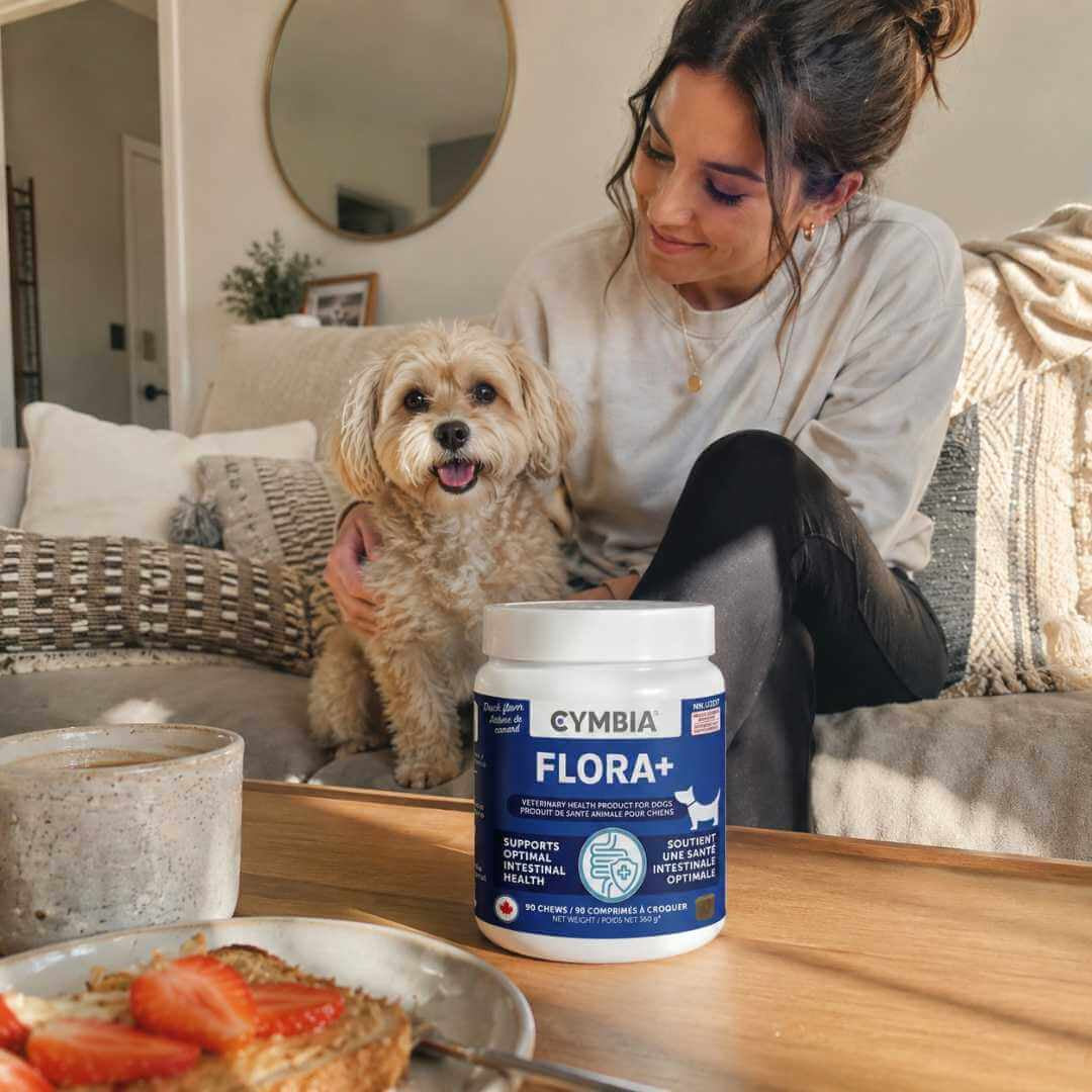 Flora+ | Diet Dog Treats for Digestive Health & Gut Care – Cymbia Flora+ | Diet Dog Treats for Digestive Health & Gut Care – Cymbia