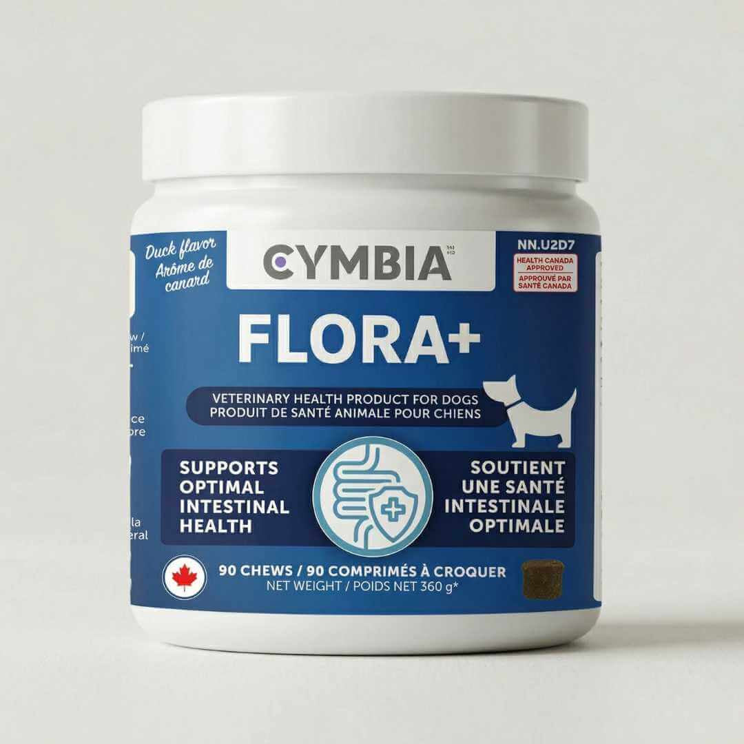 Flora+ Supplément en Friandises Digestives pour Chiens - Santé Intestinale