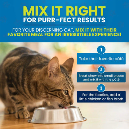 oral care for cats mixing steps