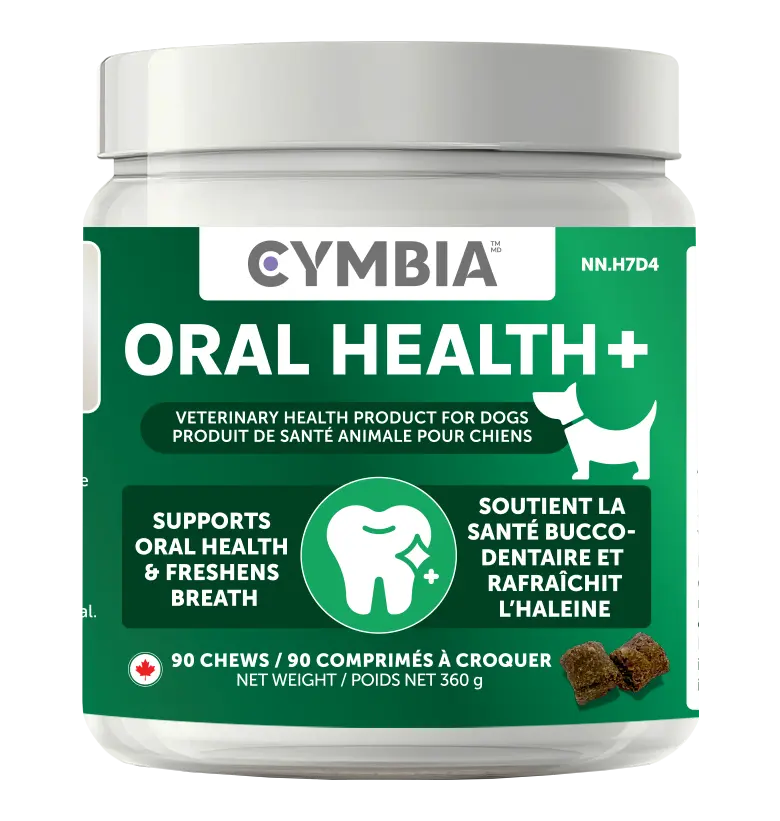 oral health Dental Chews for Dogs