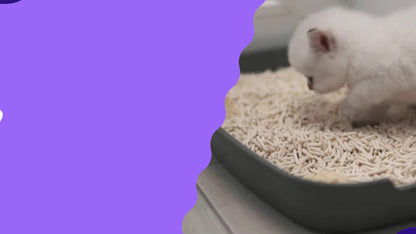 UT Balance+ Friandises pour Santé Urinaire des Chats